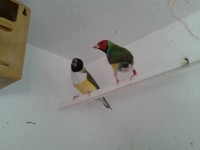 /album/galeria-de-fotos/a2013-02-05-17-07-52-jpg/